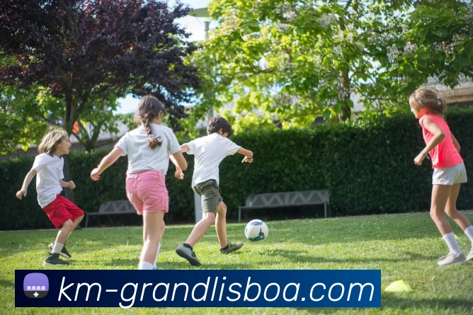 新葡京娱乐服务体系